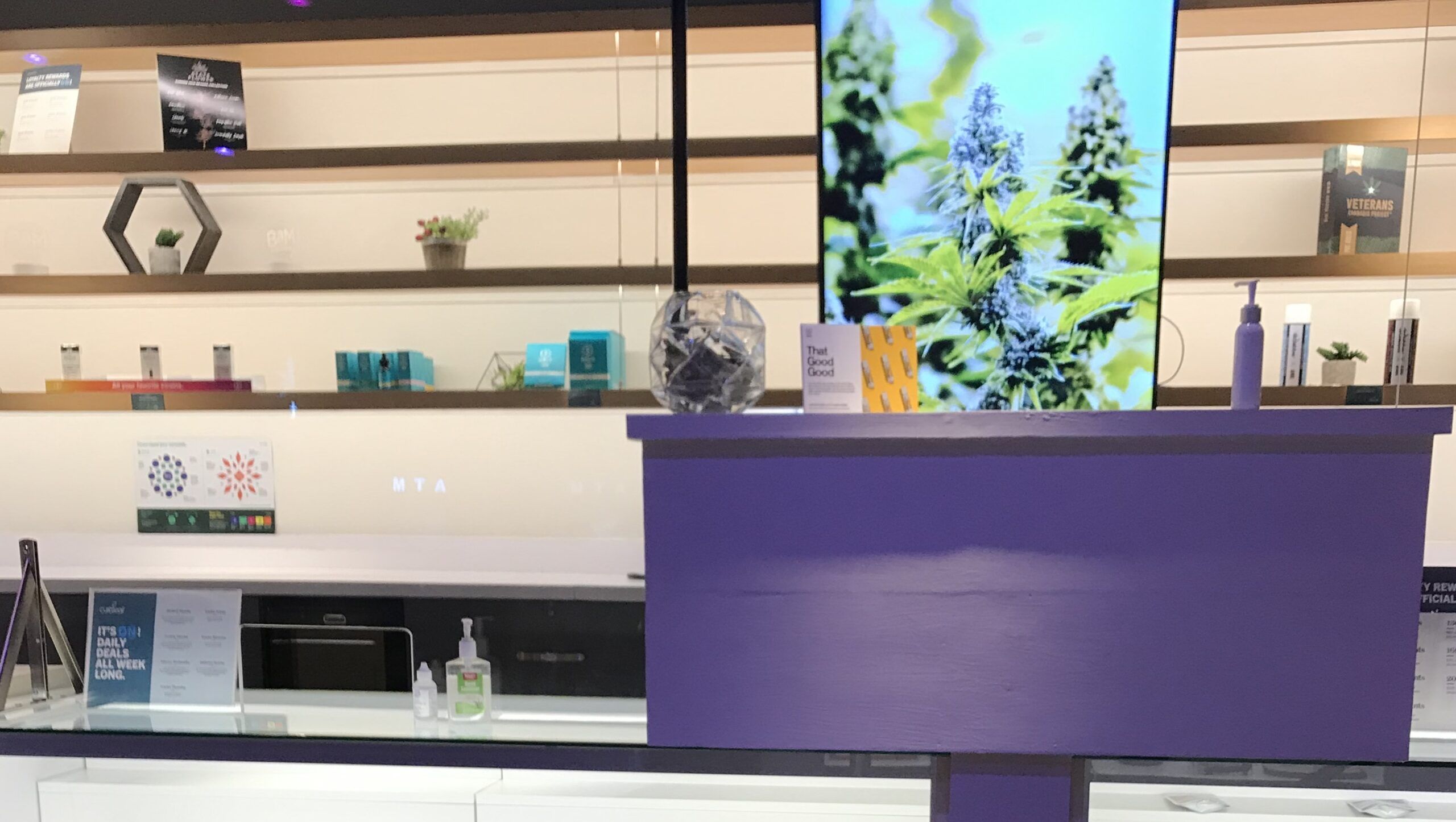 Designing User-Friendly Live Menus: What Works and What Fails